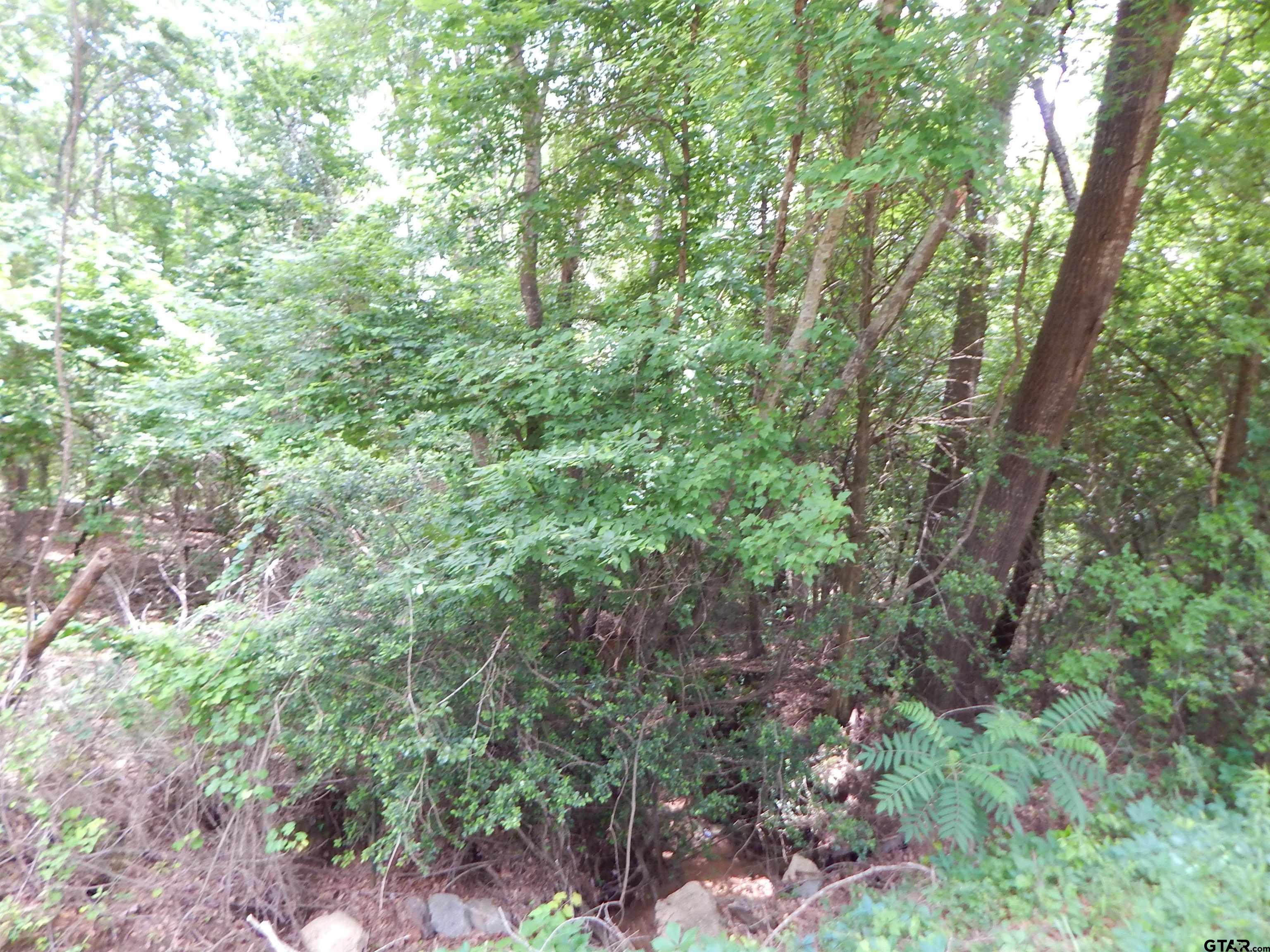 Tbd 15-acres Tbd 15-acres Locust Road Gilmer, TX 75645 - Photo 3 of 8 a backyard of a house with lots of trees