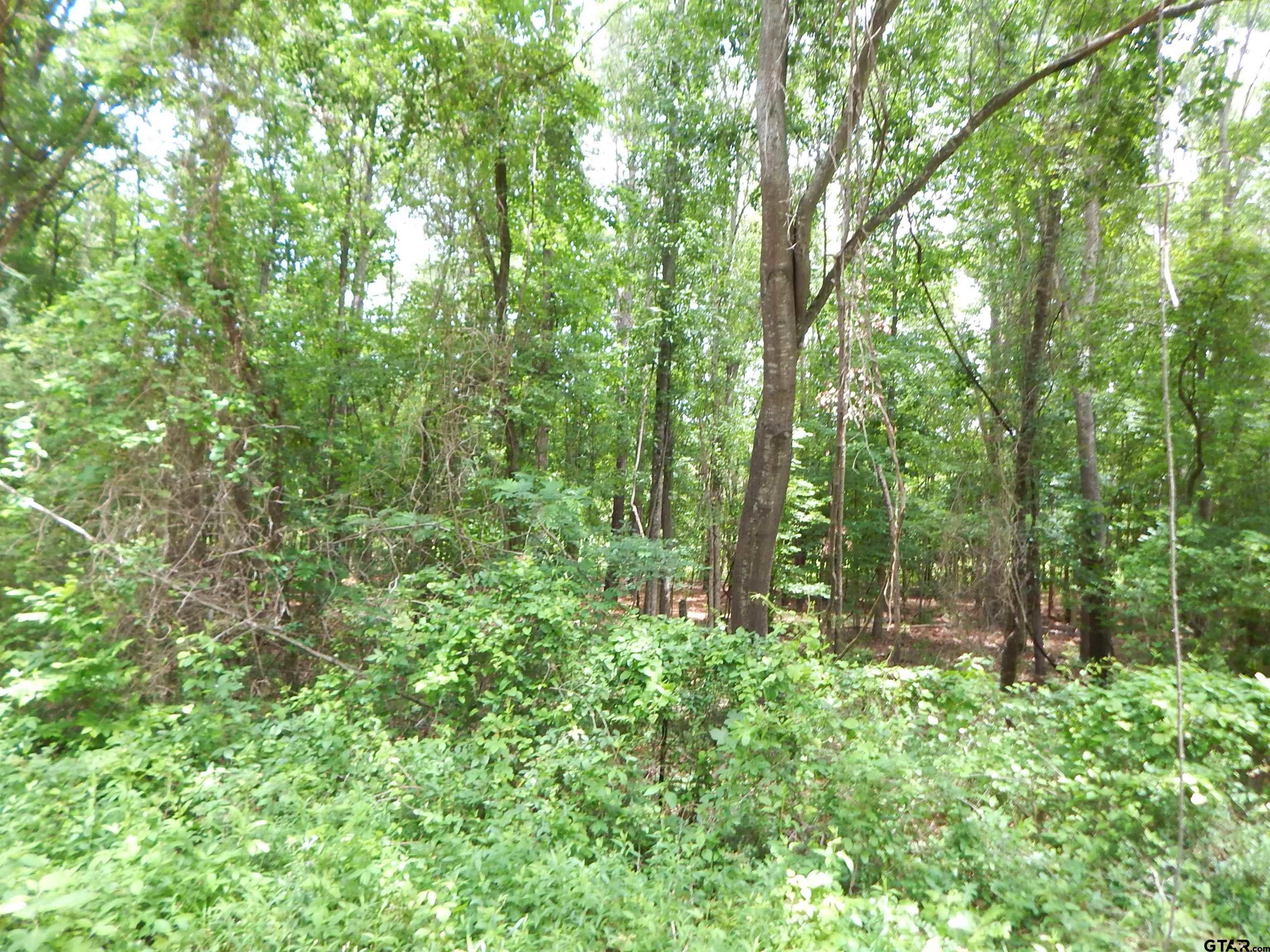 Tbd 15-acres Tbd 15-acres Locust Road Gilmer, TX 75645 - Photo 4 of 8 a view of forest