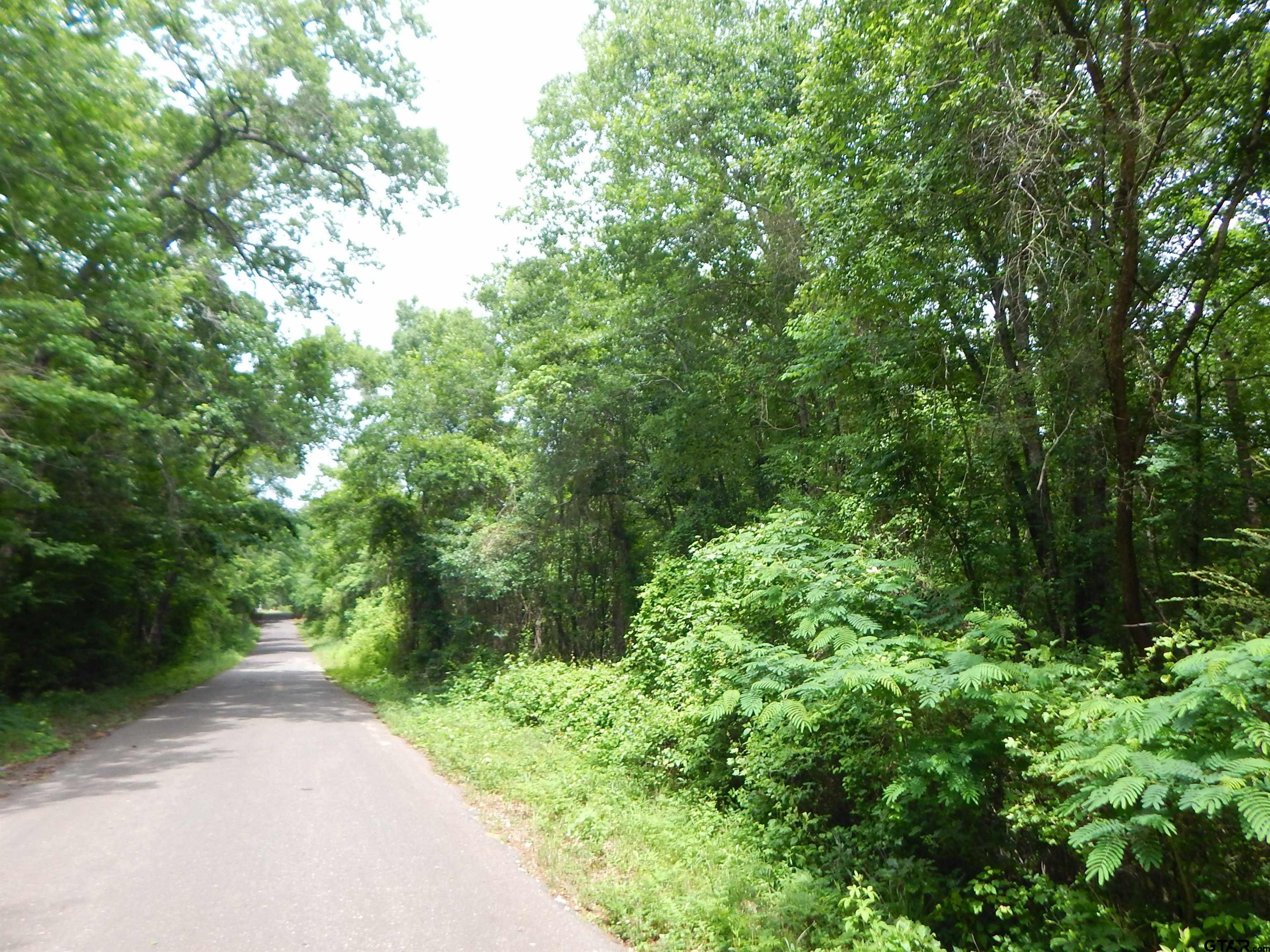 Tbd 15-acres Tbd 15-acres Locust Road Gilmer, TX 75645 - Photo 5 of 8 a view of a forest with trees in front of it
