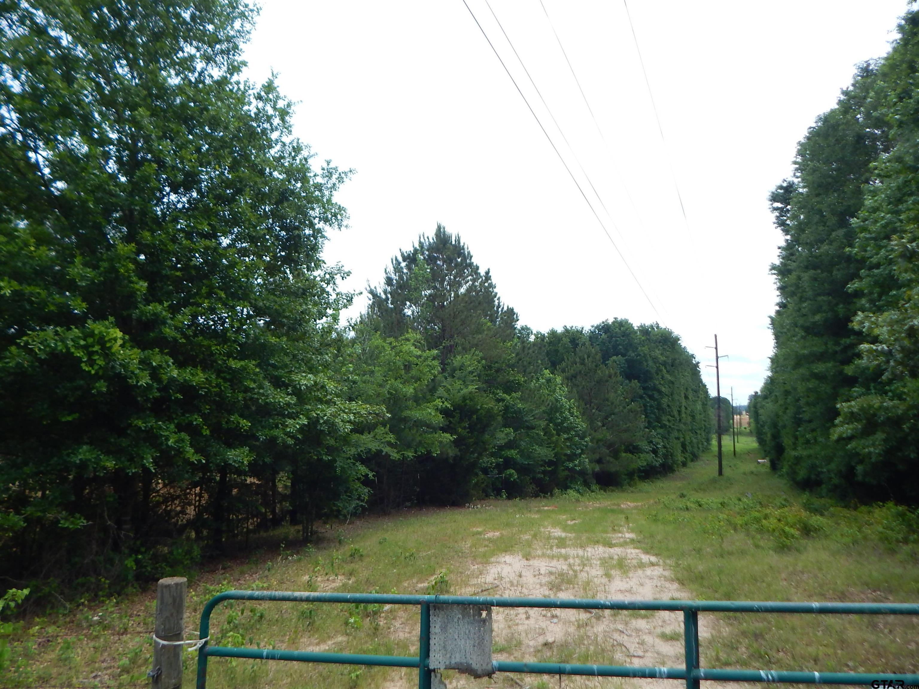 Tbd 15-acres Tbd 15-acres Locust Road Gilmer, TX 75645 - Photo 7 of 8 a view of a tennis court