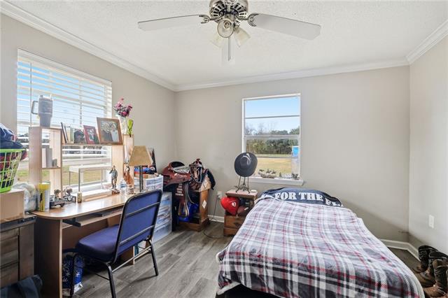 29385 James Chapel Road North Albany, LA 70711 - Photo 11 of 22