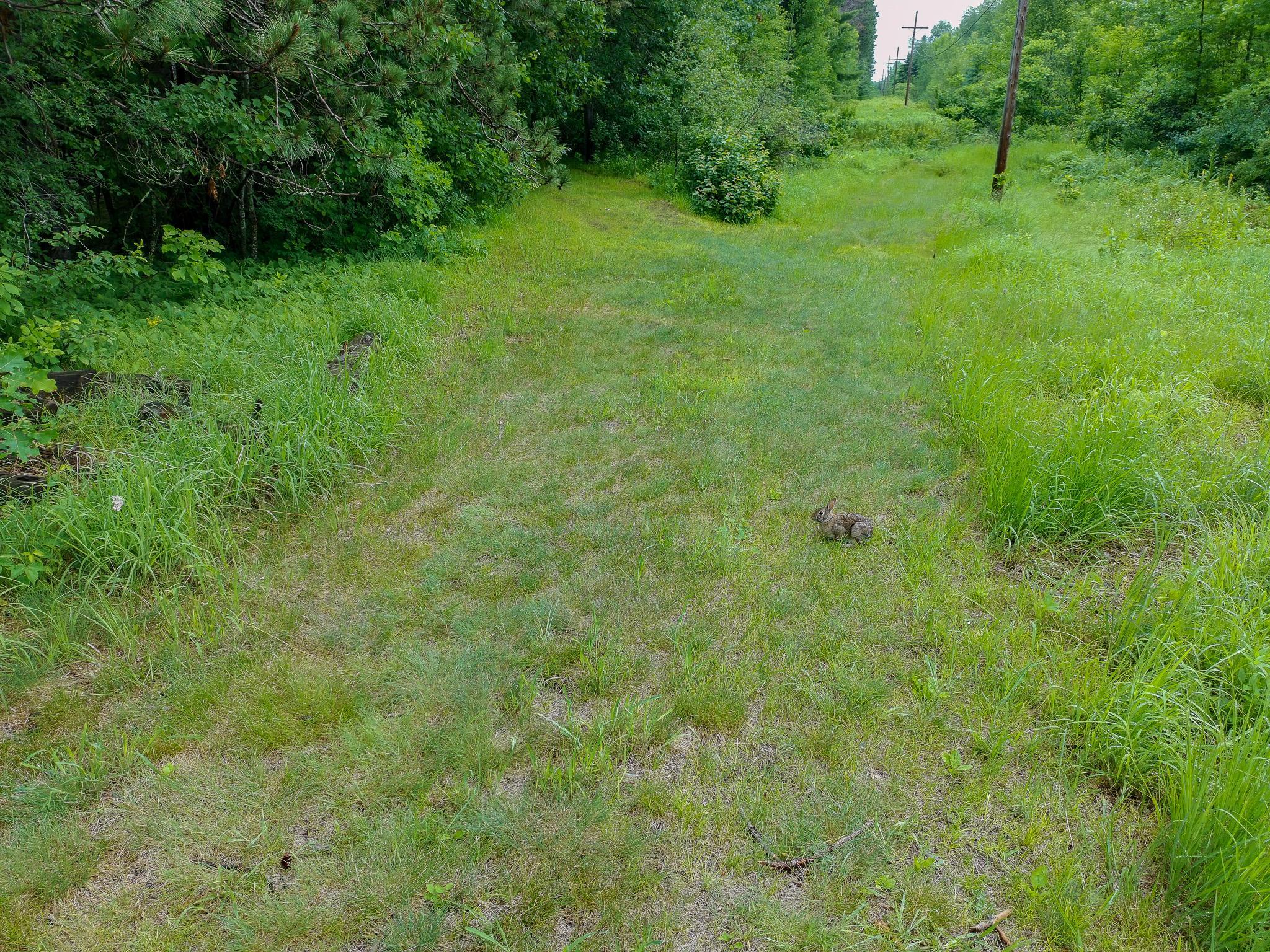 Tbd-2 North Riverside Road Moose Lake, MN 55767 - Photo 10 of 12