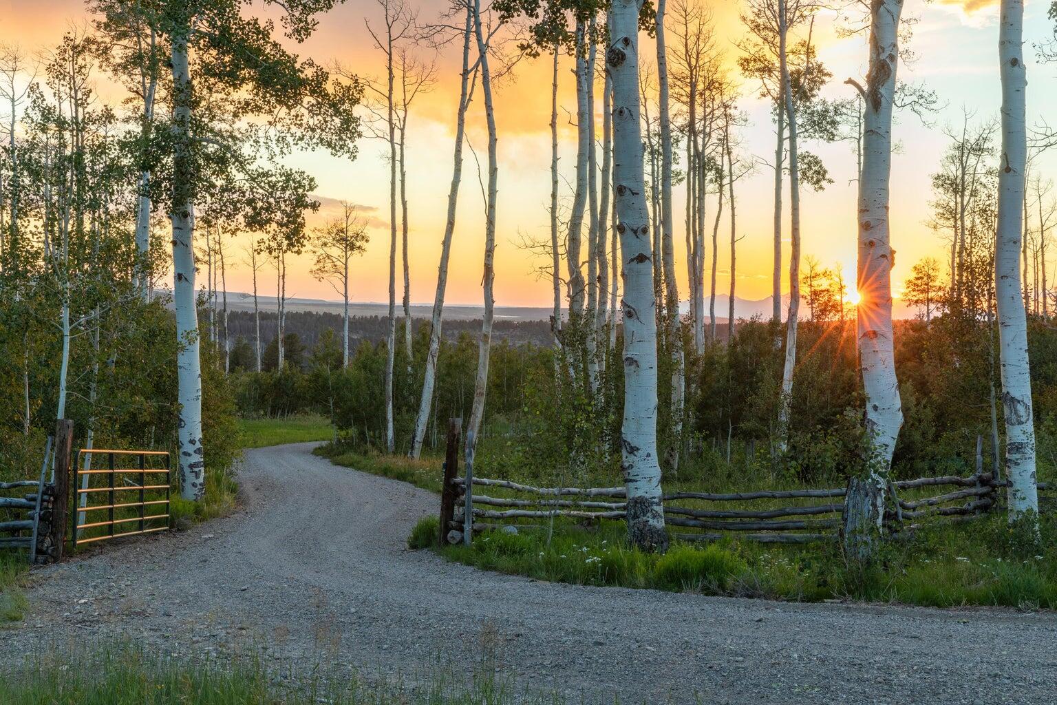 3036 Laughing Dog Road Placerville, CO 81430 - Photo 28 of 37 Serene Paths