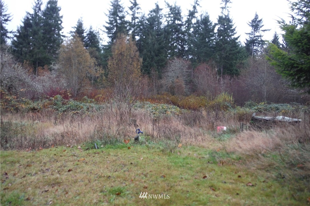 111 Bishop Road Port Angeles, WA 98363 - Photo 36 of 39 Gallery Image 36