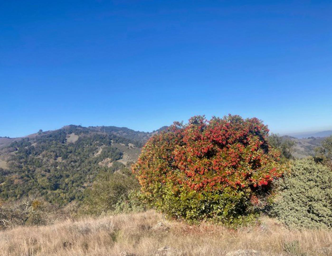 0 Cinnabar Hills Road San Jose, CA 95120 - Photo 7 of 31