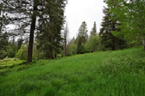 41698 Canal Road Ronan, MT 59864 - Photo 19 of 102 Gallery Image 19
