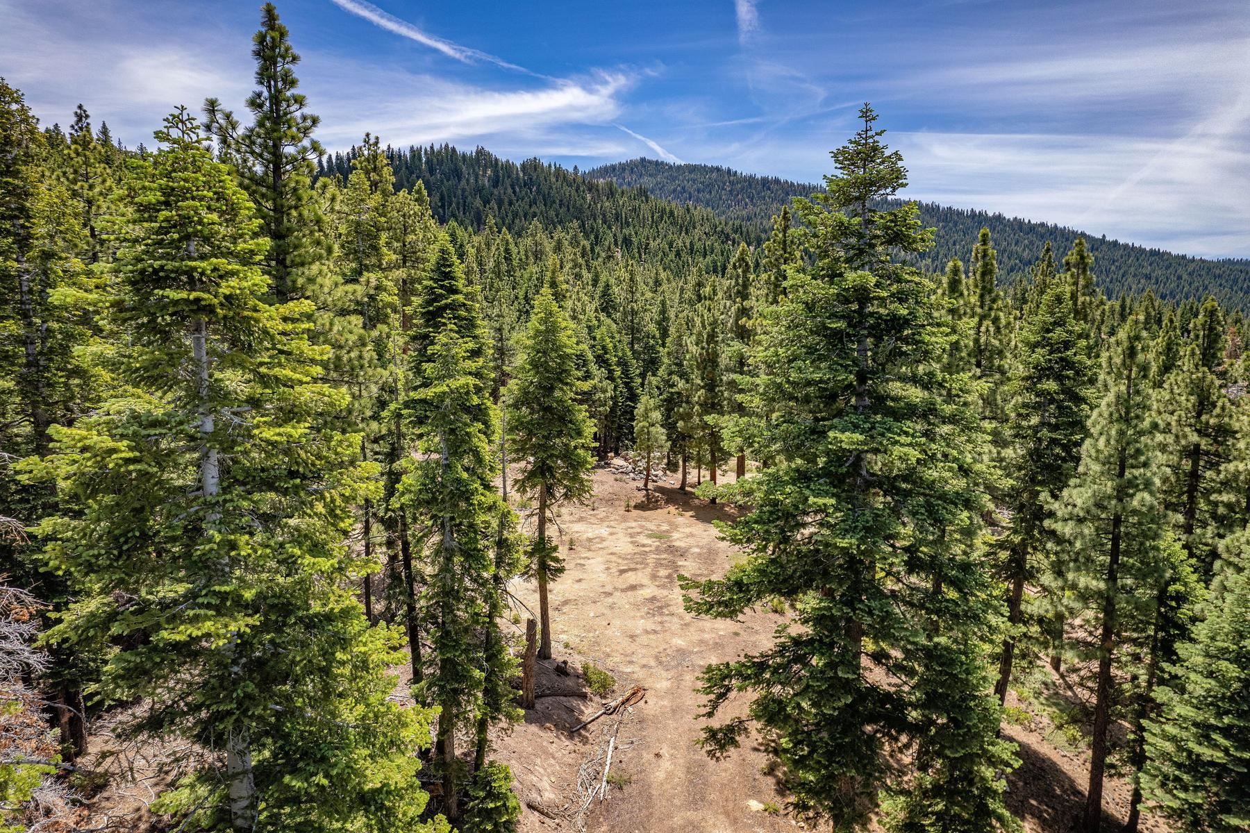 16145 Martis Peak Road Truckee, CA 96161 - Photo 13 of 21