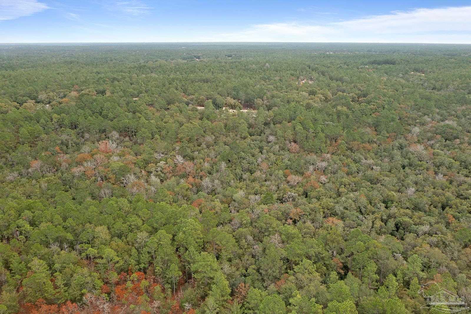 5412 Stallion Drive Crestview, FL 32539 - Photo 29 of 43