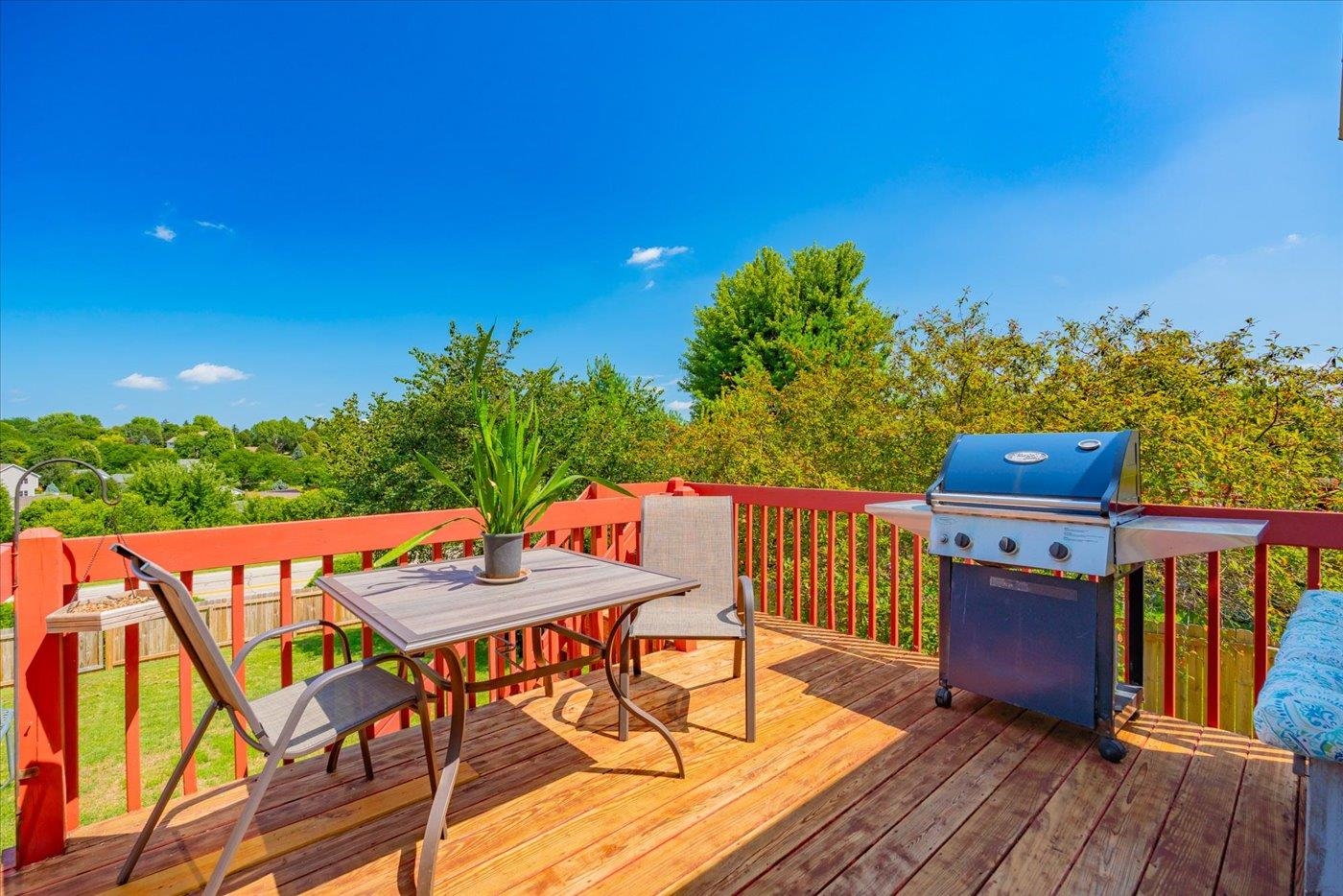 933 Vista Ridge Drive Mount Horeb, WI 53572 - Photo 19 of 58