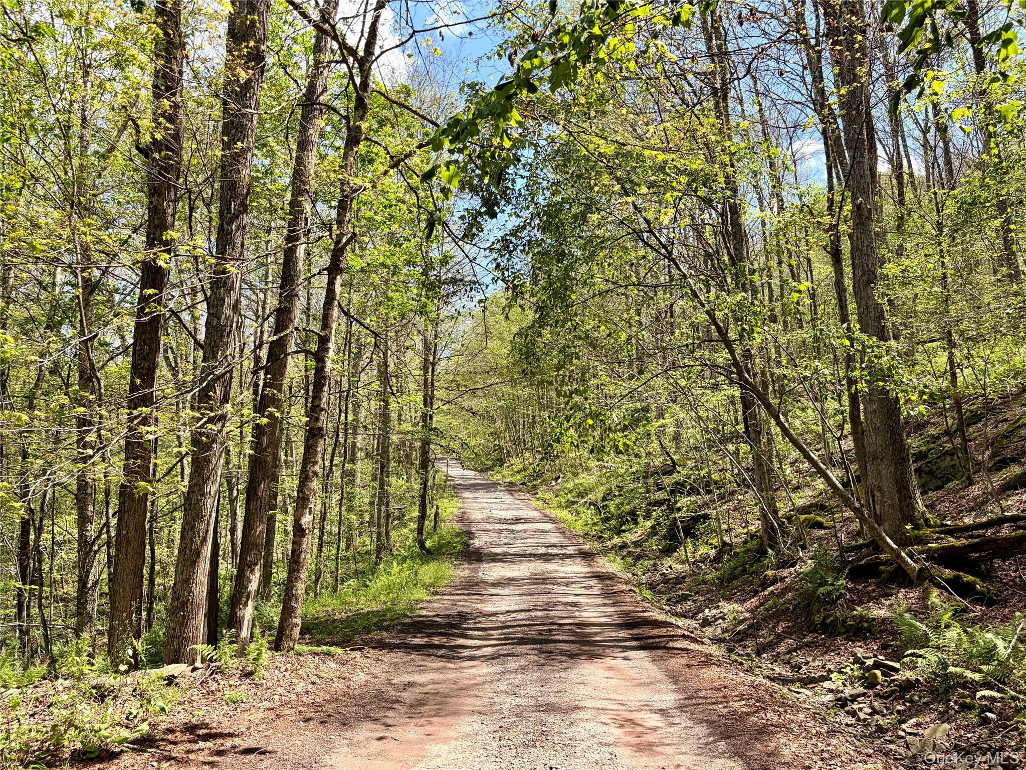 Doyle Road Roscoe, NY 12776 - Photo 5 of 14