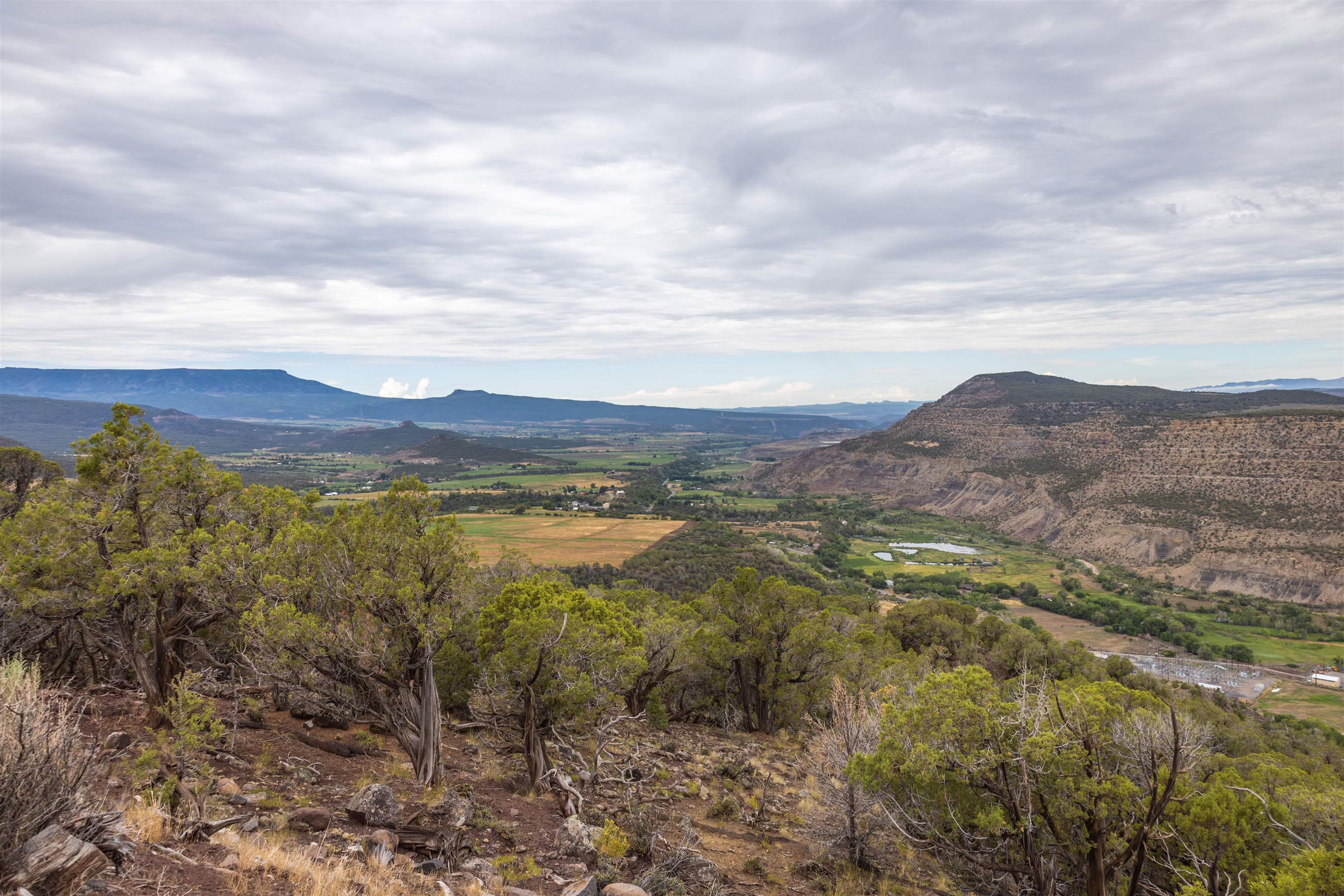 Tbd 55 Road, Unit 120 ACRES Collbran, CO 81624 - Photo 3 of 11 Gallery Image 3