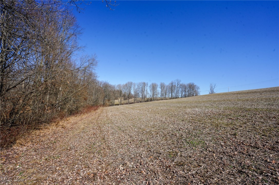 Cooks Hill Road Glenford, OH 43739 - Photo 6 of 46 View of local wilderness