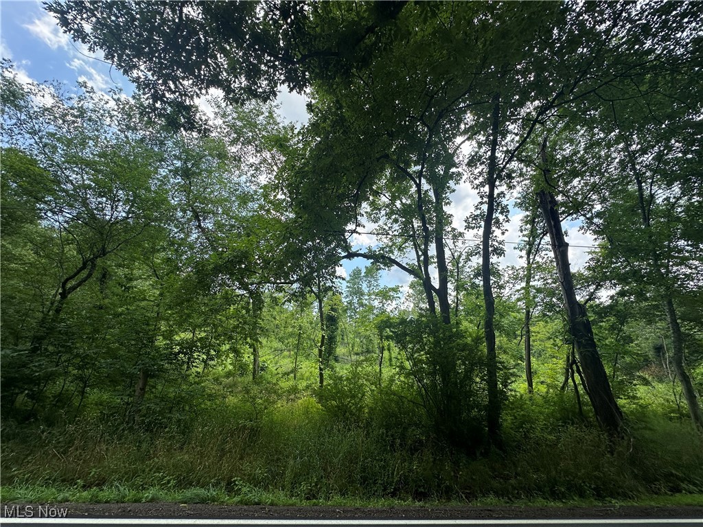 View of nature