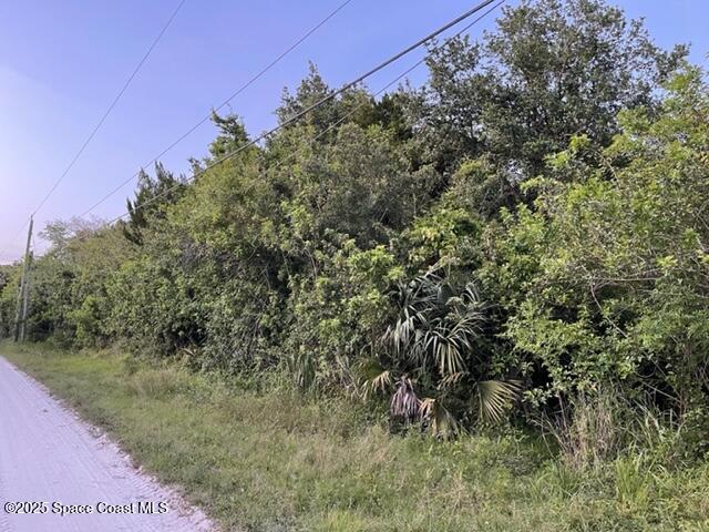 3265 Hammock Road Mims, FL 32754 - Photo 4 of 17 a view of a yard