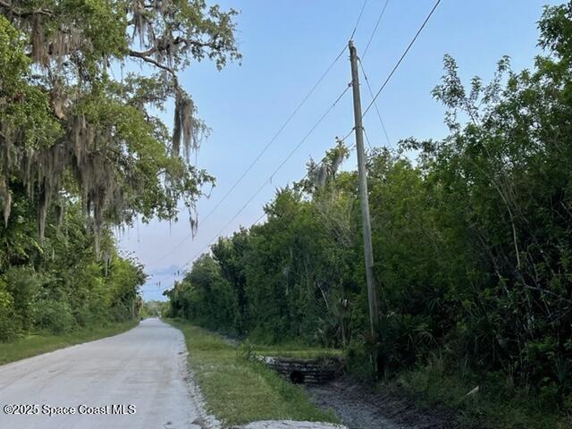 3265 Hammock Road Mims, FL 32754 - Photo 6 of 17 a view of a forest with a tree in the background