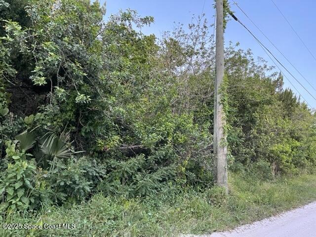 3265 Hammock Road Mims, FL 32754 - Photo 7 of 17 a view of a forest with a tree