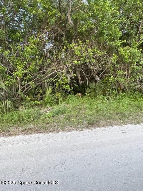 3265 Hammock Road Mims, FL 32754 - Photo 9 of 17 a view of a backyard