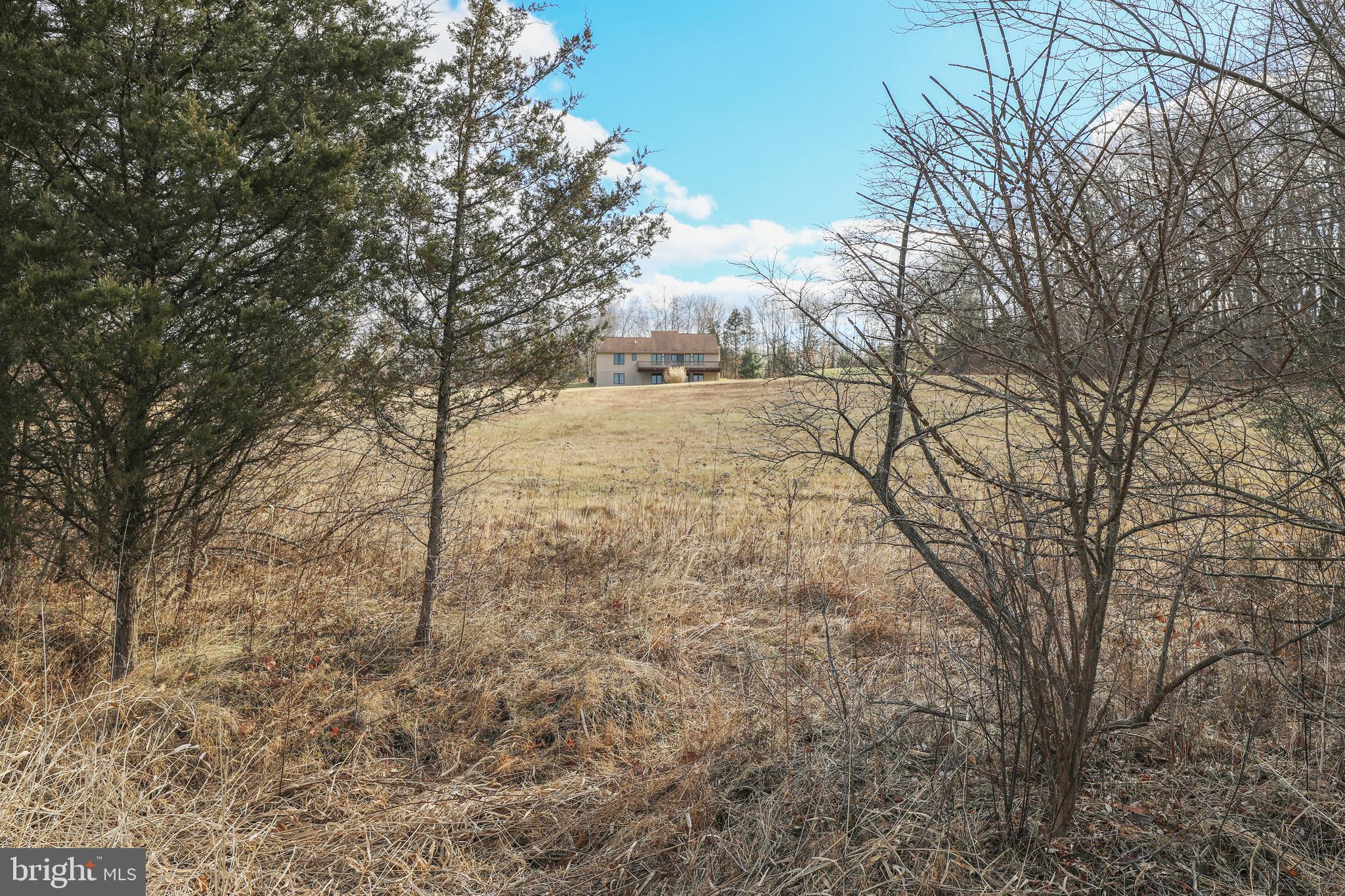 16 Iron Bridge Road Pipersville, PA 18947 - Photo 67 of 68