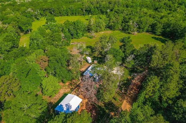 a backyard of a house with a yard and large trees