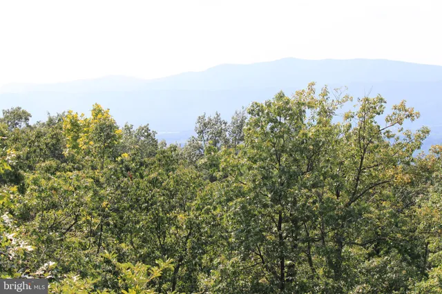 a view of a large building with a mountain in the background