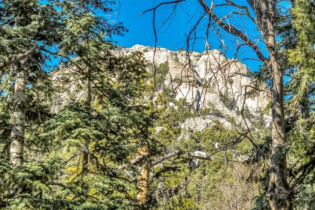 a view of outdoor space yard and patio