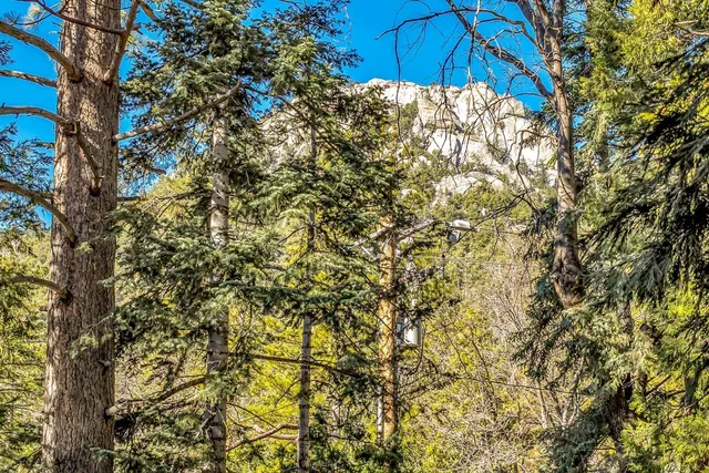 a view of a house with a tree in the background