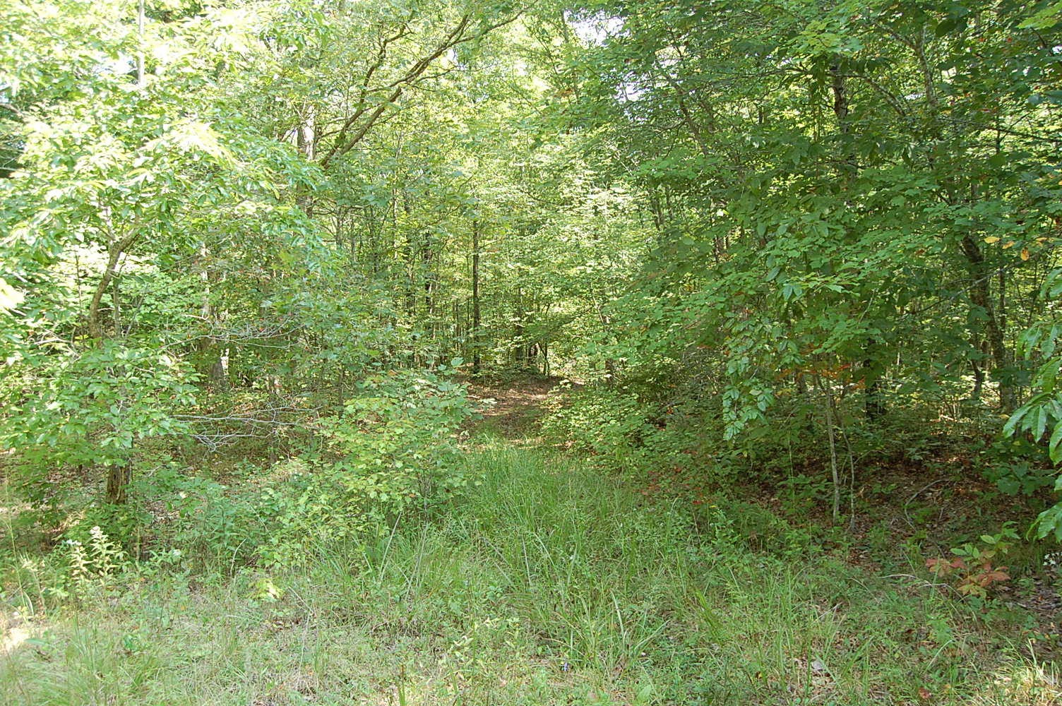 16 Green Pond Road Dunlap, TN 37327 - Photo 4 of 13