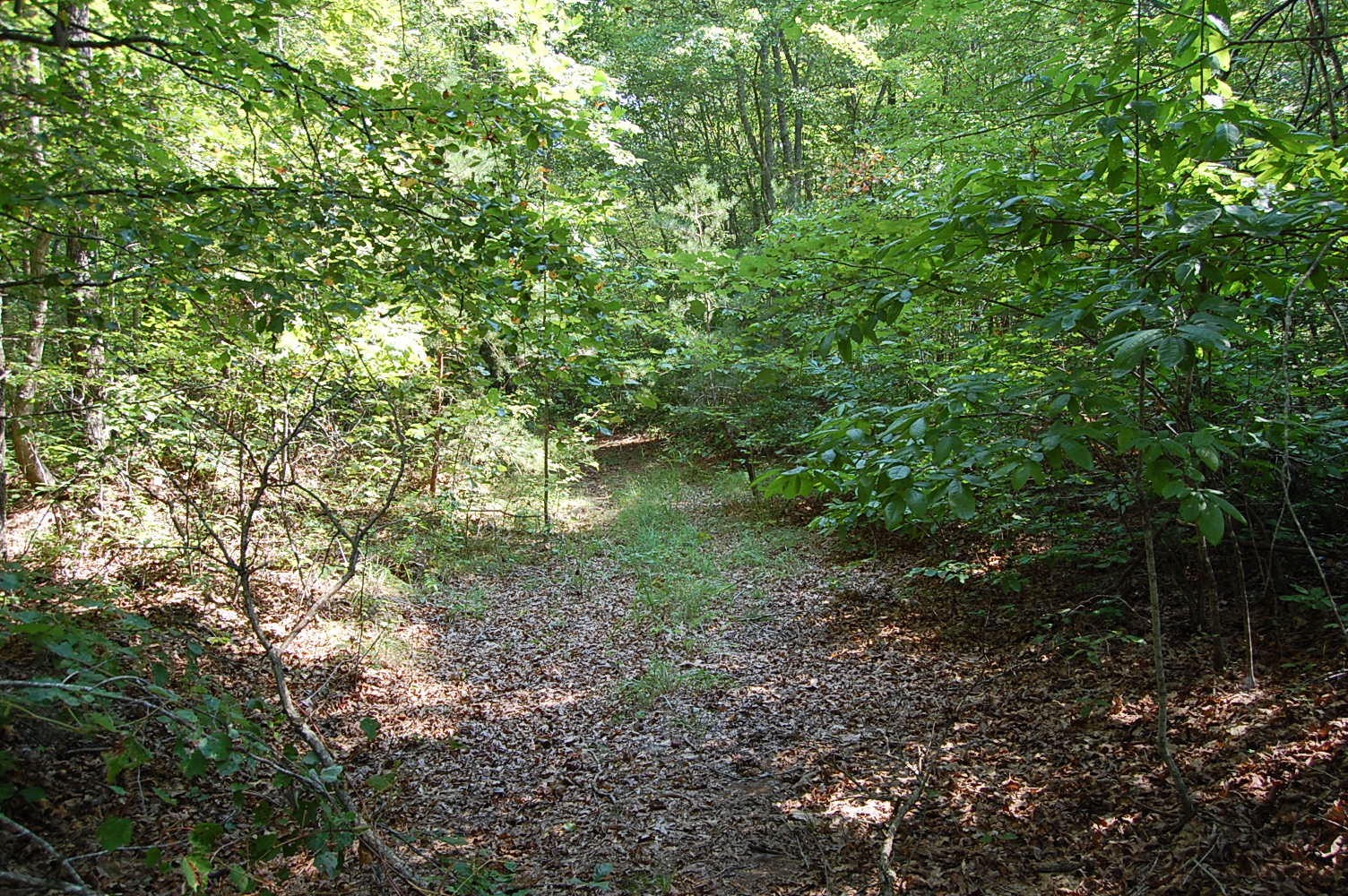 16 Green Pond Road Dunlap, TN 37327 - Photo 9 of 13