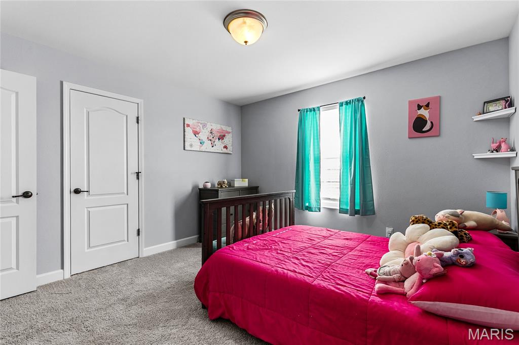 3469 Chippewa Drive Shiloh, IL 62221 - Photo 21 of 38