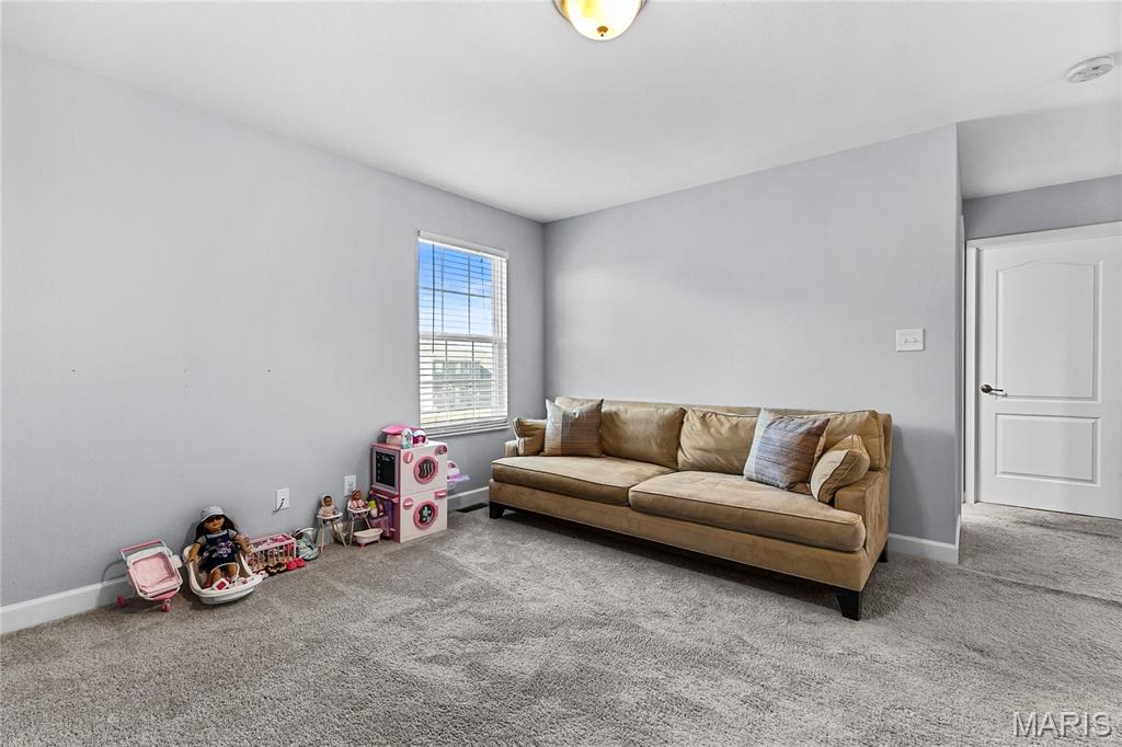 3469 Chippewa Drive Shiloh, IL 62221 - Photo 24 of 38