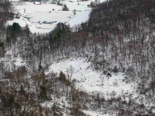 $295,000 | 0 North Elizabeth Scales Mound Road, Elizabeth, IL 61028