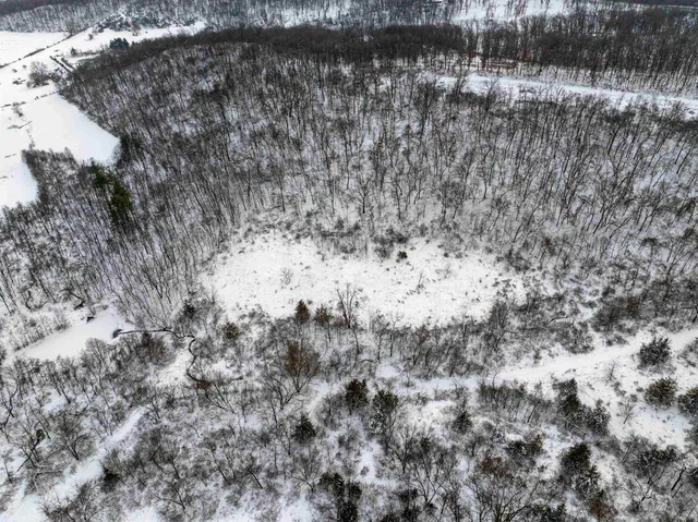 $295,000 | 0 North Elizabeth Scales Mound Road, Elizabeth, IL 61028