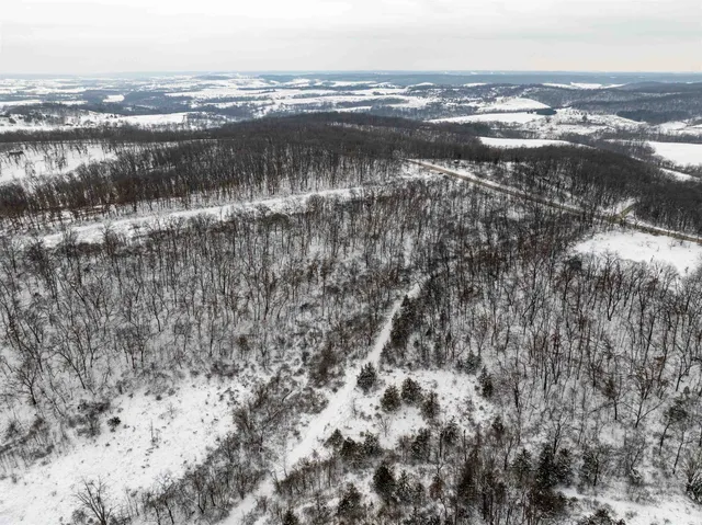 $295,000 | 0 North Elizabeth Scales Mound Road, Elizabeth, IL 61028