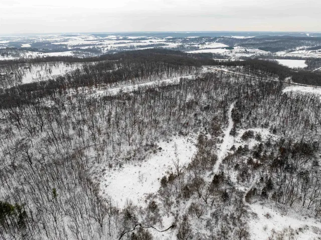 $295,000 | 0 North Elizabeth Scales Mound Road, Elizabeth, IL 61028