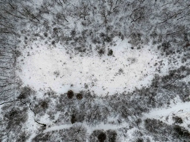 $295,000 | 0 North Elizabeth Scales Mound Road, Elizabeth, IL 61028