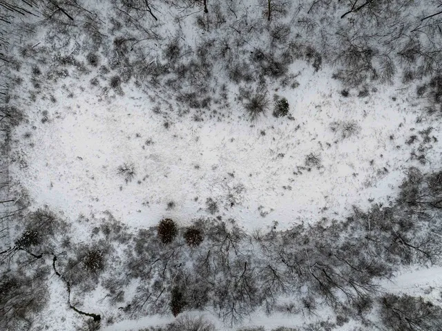 $295,000 | 0 North Elizabeth Scales Mound Road, Elizabeth, IL 61028