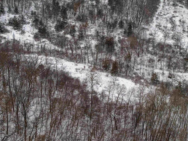 $295,000 | 0 North Elizabeth Scales Mound Road, Elizabeth, IL 61028