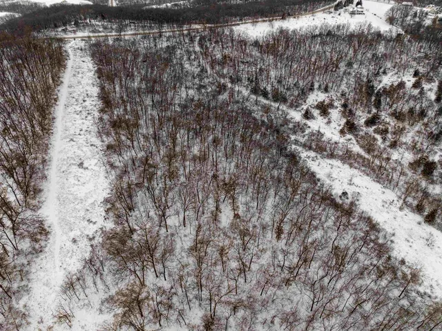 $295,000 | 0 North Elizabeth Scales Mound Road, Elizabeth, IL 61028