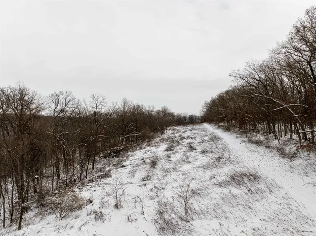 $295,000 | 0 North Elizabeth Scales Mound Road, Elizabeth, IL 61028