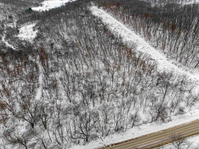 $295,000 | 0 North Elizabeth Scales Mound Road, Elizabeth, IL 61028