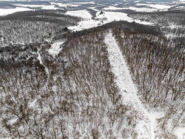 $295,000 | 0 North Elizabeth Scales Mound Road, Elizabeth, IL 61028