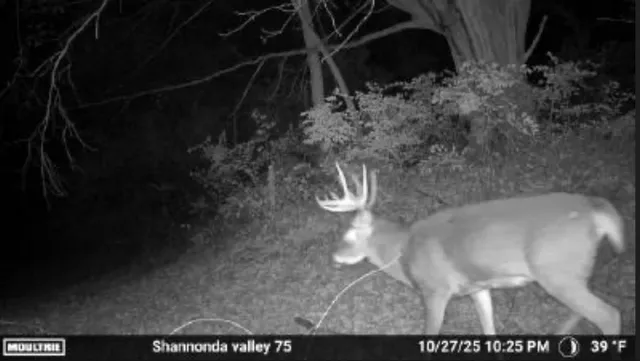 $295,000 | 0 North Elizabeth Scales Mound Road, Elizabeth, IL 61028