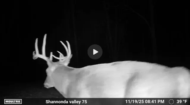 $295,000 | 0 North Elizabeth Scales Mound Road, Elizabeth, IL 61028