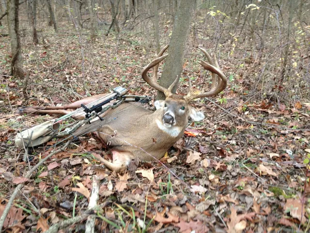 $295,000 | 0 North Elizabeth Scales Mound Road, Elizabeth, IL 61028