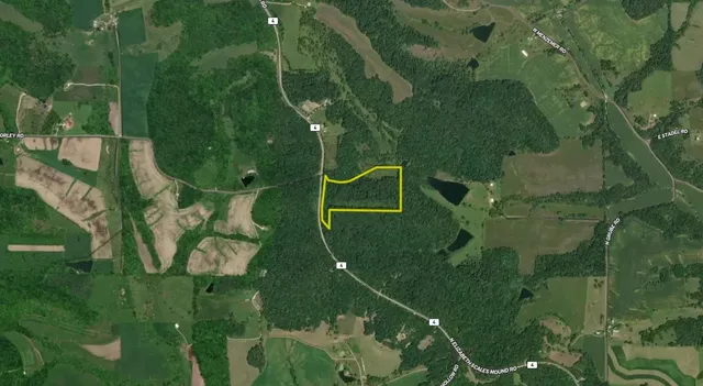 $295,000 | 0 North Elizabeth Scales Mound Road, Elizabeth, IL 61028