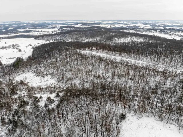 $295,000 | 0 North Elizabeth Scales Mound Road, Elizabeth, IL 61028