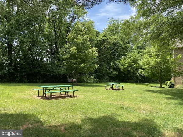 a view of a bench in a park