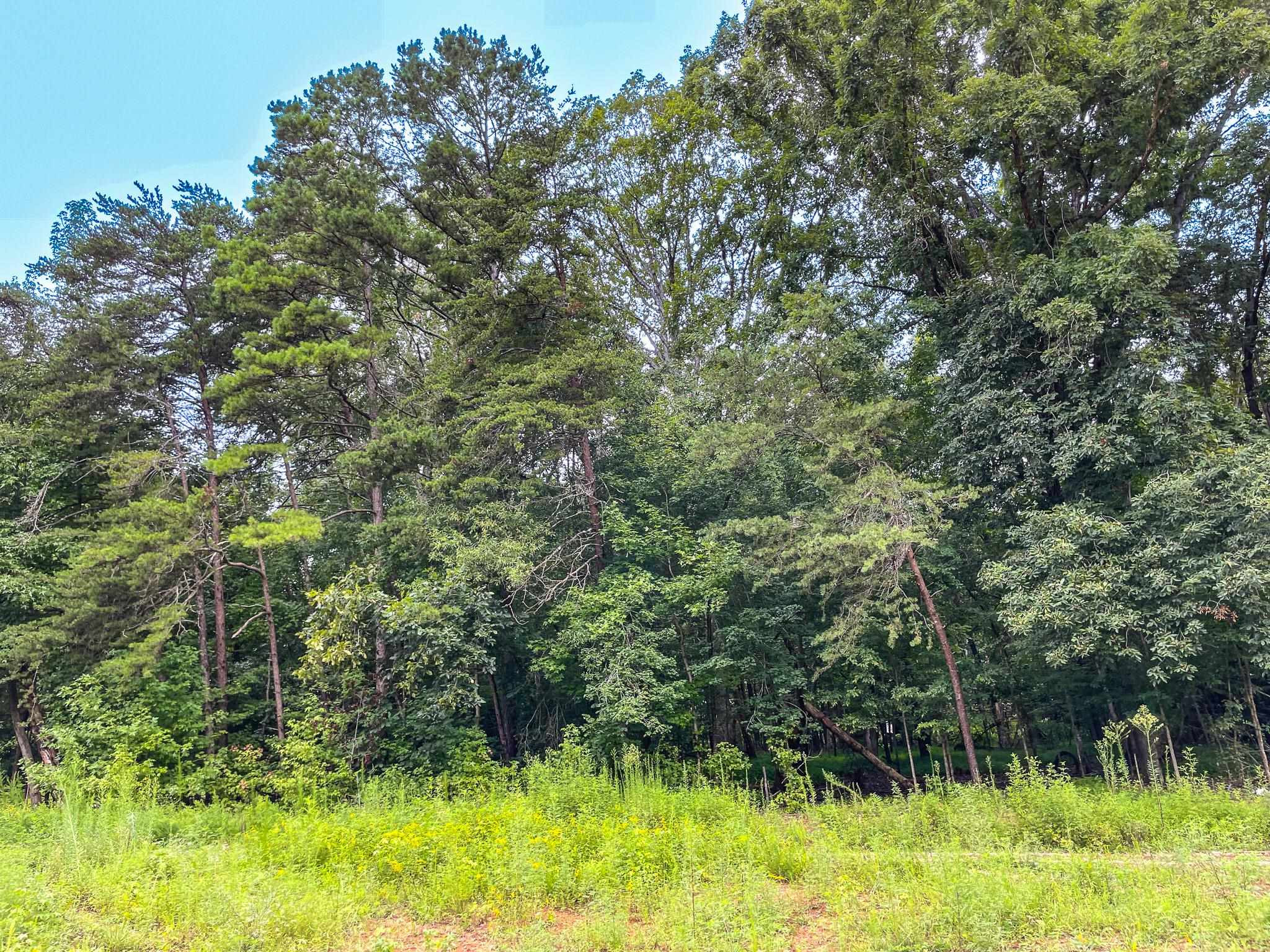 Lot E Amber Road Timberlake, NC 27583 - Photo 15 of 17 Photo 15