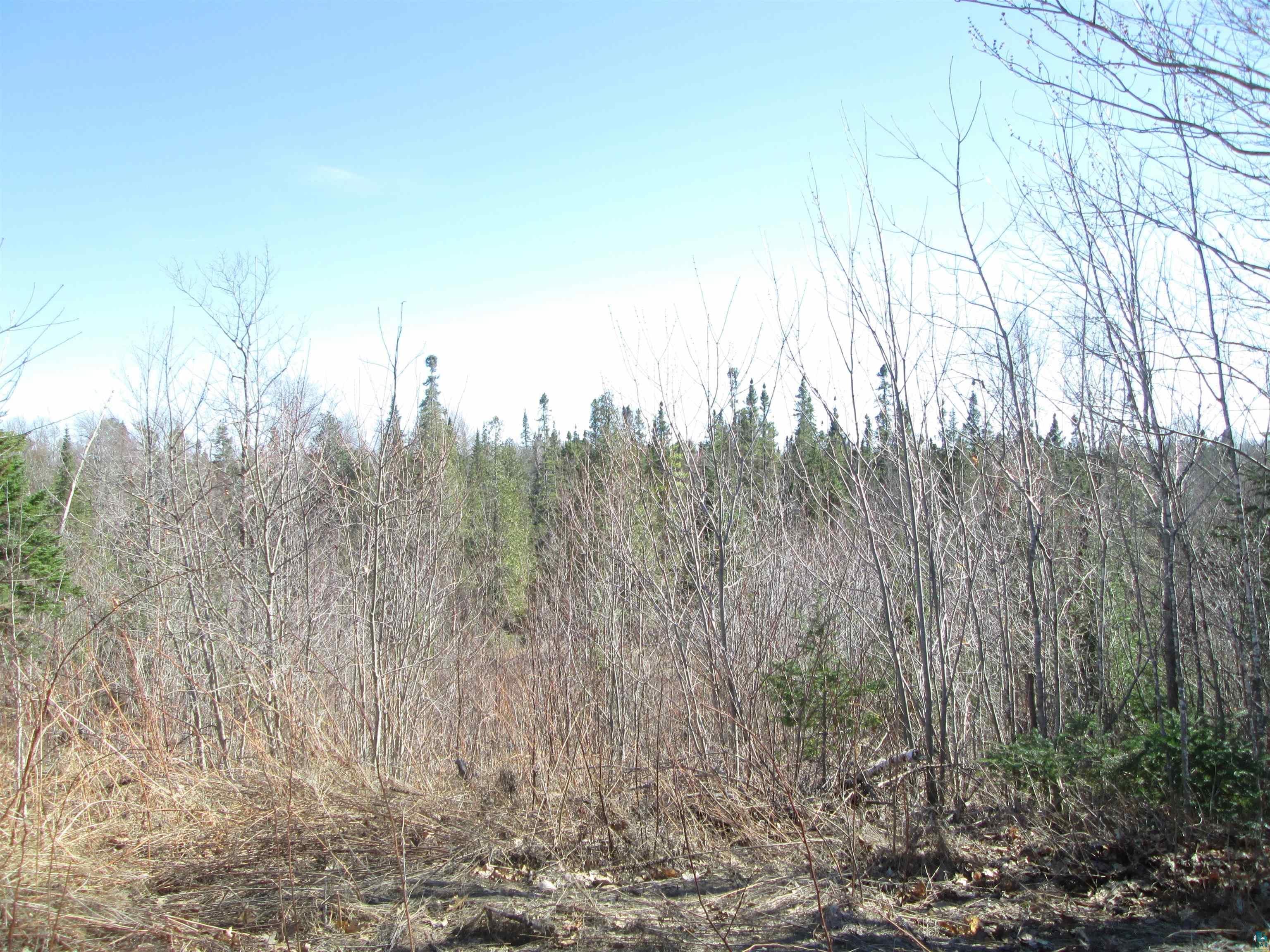 Lot 1-40 Acres County Road South Range, WI 54874 - Photo 22 of 35 Gallery Image 22