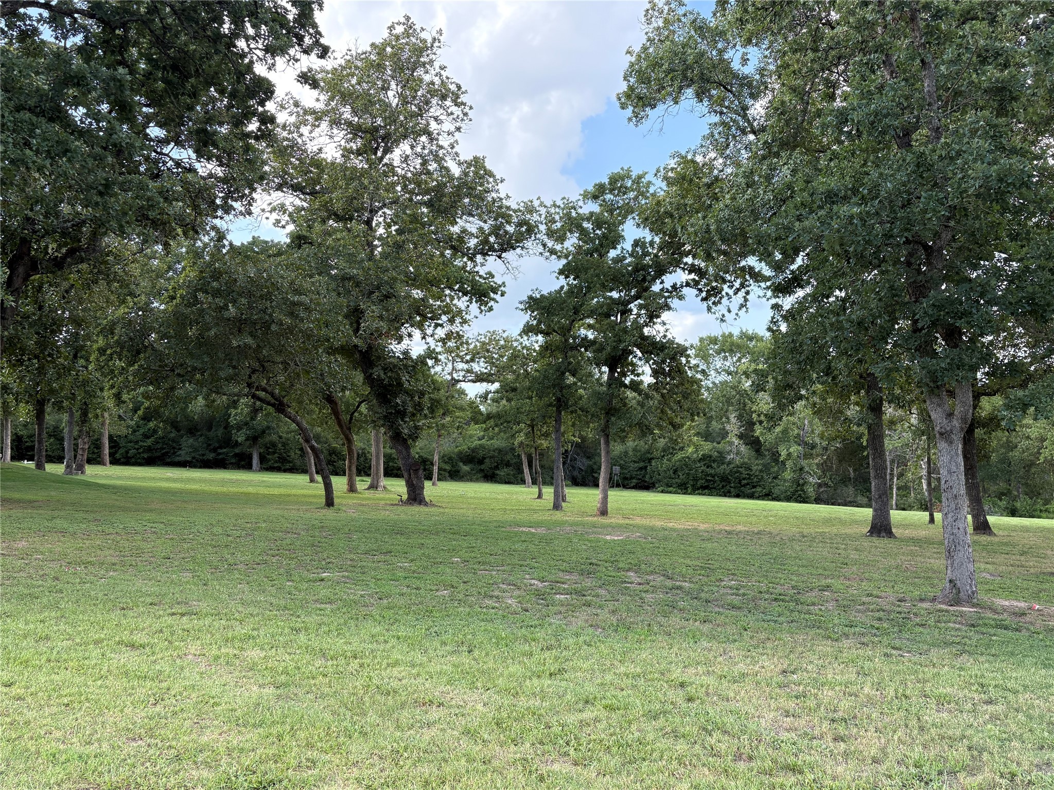 8595 Jared Road Bellville, TX 77418 - Photo 26 of 30 a view of a park with tree s